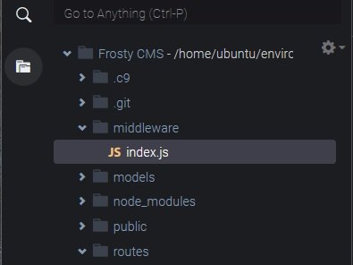 middleware index