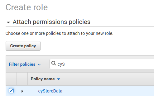 attach cyStoreData policy